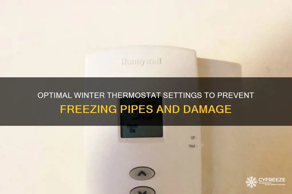 what temperature to set thermostat to prevent freezing in winter