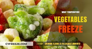 Optimal Freezing Temperatures for Preserving Fresh Vegetables at Home