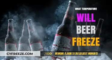 Chilling Brews: The Surprising Temperature Beer Freezes At