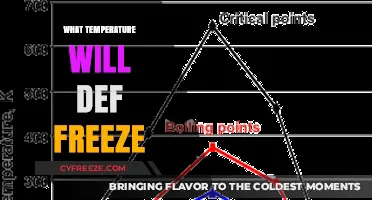 Chilling Facts: The Exact Temperature Water Freezes