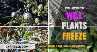 Protecting Your Garden: The Critical Temperature Threshold for Plant Freezing