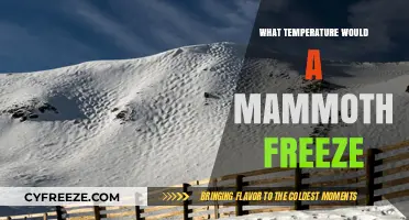 Would a Mammoth Freeze? Exploring the Chilling Temperature Threshold