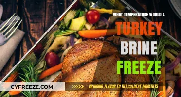 Turkey Brine Freezing Point: Understanding the Temperature Threshold