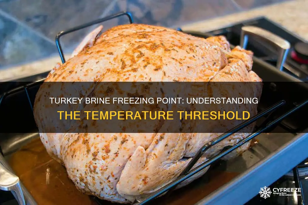 what temperature would a turkey brine freeze