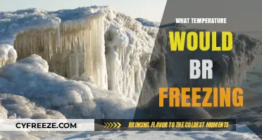 Understanding Freezing Temperatures: What Degrees Signal Ice Formation?
