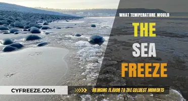 At What Temperature Does the Sea Freeze? A Deep Dive