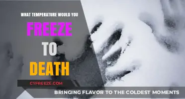 Freezing to Death: Understanding the Critical Temperature Threshold for Survival