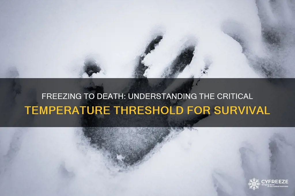 what temperature would you freeze to death