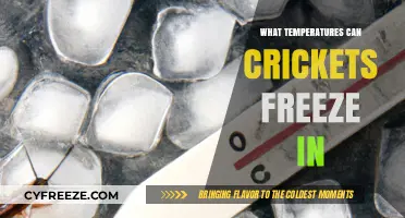 Chilling Truth: At What Temperature Do Crickets Freeze to Death?