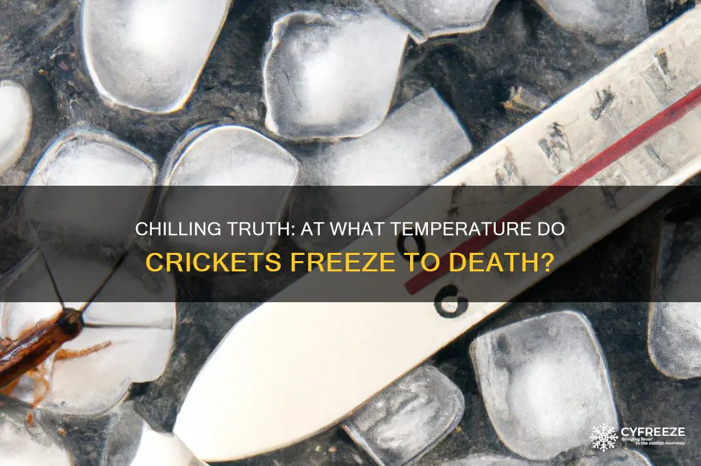 what temperatures can crickets freeze in