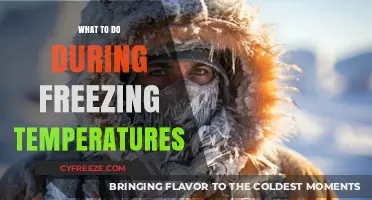 Surviving the Freeze: Essential Tips for Extreme Cold Weather Safety