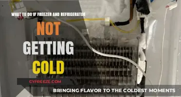 Troubleshooting Tips: Fix Freezer and Refrigerator Not Cooling Issues Fast