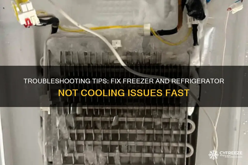 what to do if freezer and refrigerator not getting cold