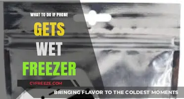Phone Fell in Water? Freezer Fix and Recovery Tips Revealed