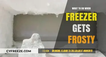Defrosting Dilemmas: Quick Fixes for a Frosty Freezer Crisis