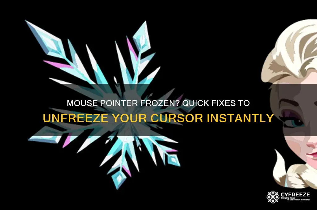 what to do when mouse pointer freezes