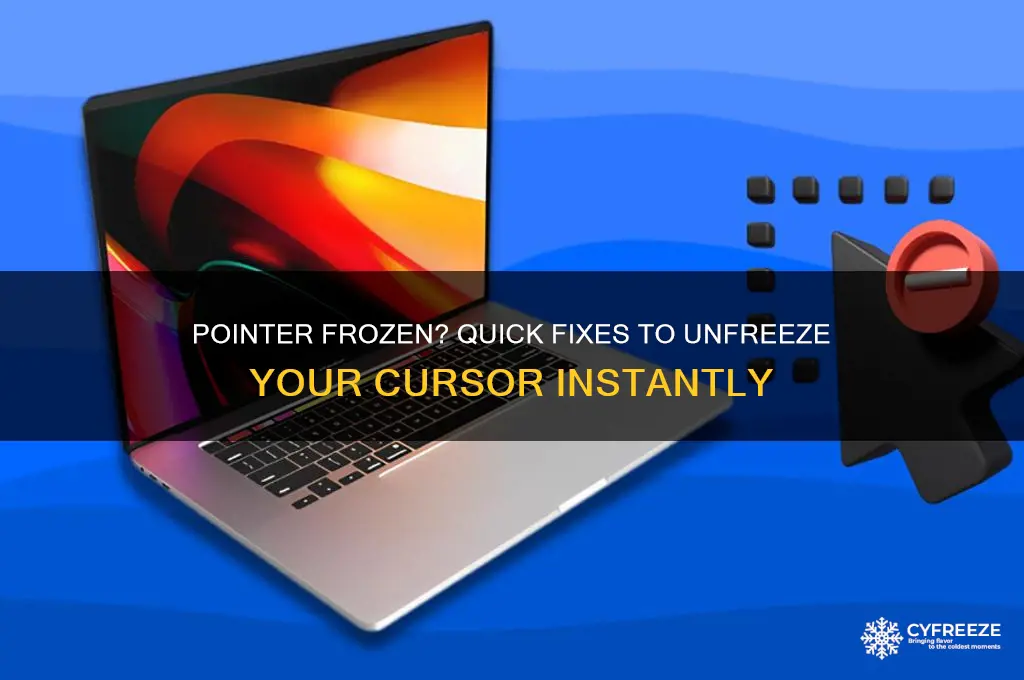 what to do when pointer freezes