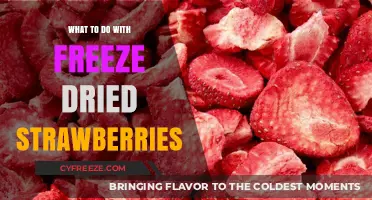 Reviving Freeze-Dried Strawberries: Delicious Ways to Use Them