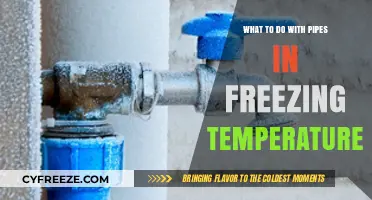 Preventing Frozen Pipes: Essential Tips for Winter Maintenance and Safety