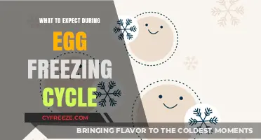 Navigating the Egg Freezing Journey: A Step-by-Step Guide