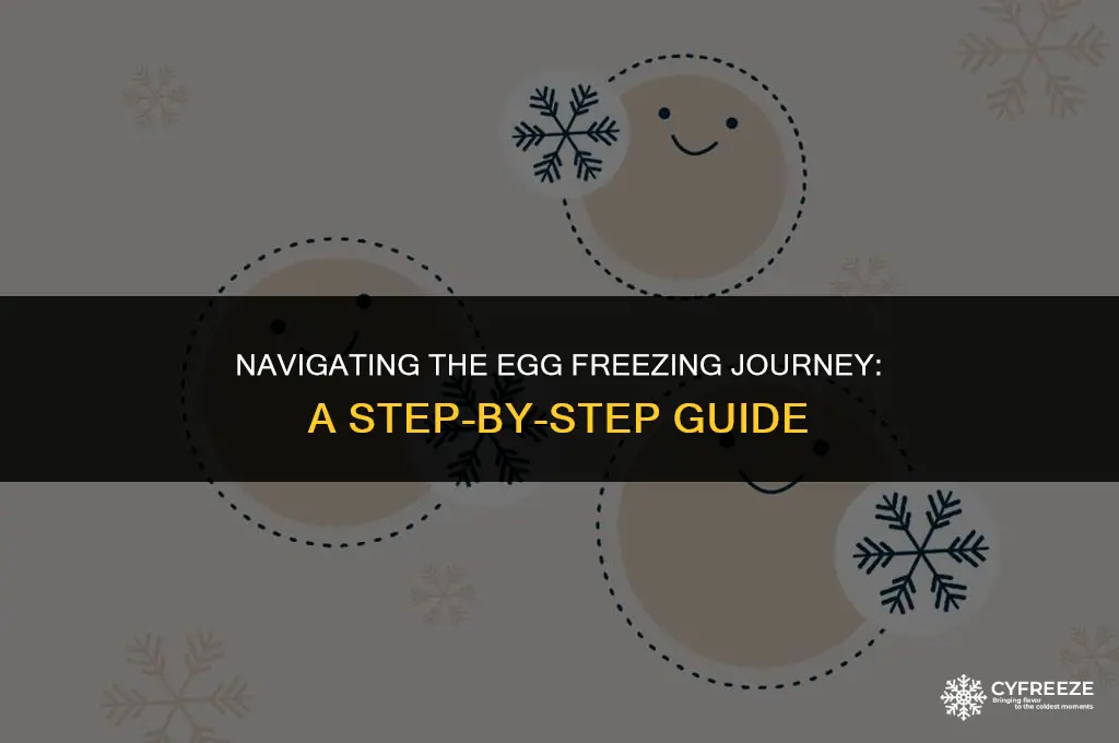 what to expect during egg freezing cycle