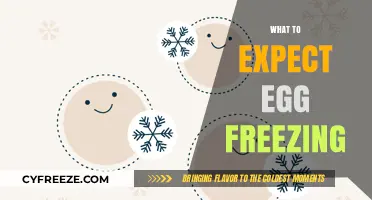 Exploring the Egg Freezing Journey: What to Expect