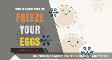 Egg Freezing 101: What to Expect When You Freeze Your Eggs