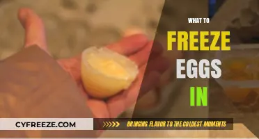 Egg-cellent Preservation: The Best Containers for Freezing Eggs