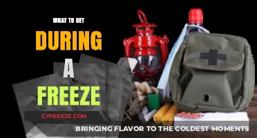 Essential Freeze Survival Supplies: What to Stock Up On Now