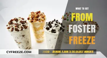 Top Foster Freeze Treats: Must-Try Menu Picks for Your Next Visit