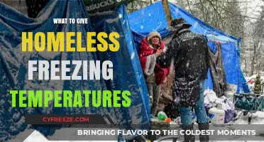 Warmth for the Homeless: Essential Winter Survival Gifts in Freezing Temperatures