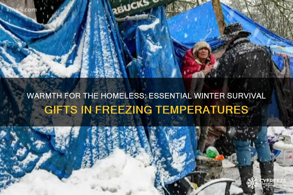 what to give homeless freezing temperatures