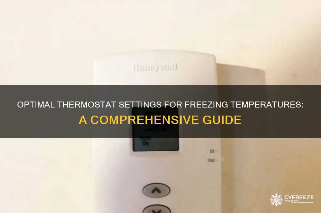 what to set the thermostat at freezing point
