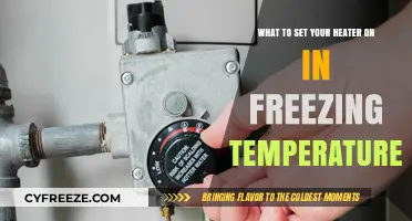 Optimal Heater Settings for Freezing Temperatures: Stay Warm and Safe