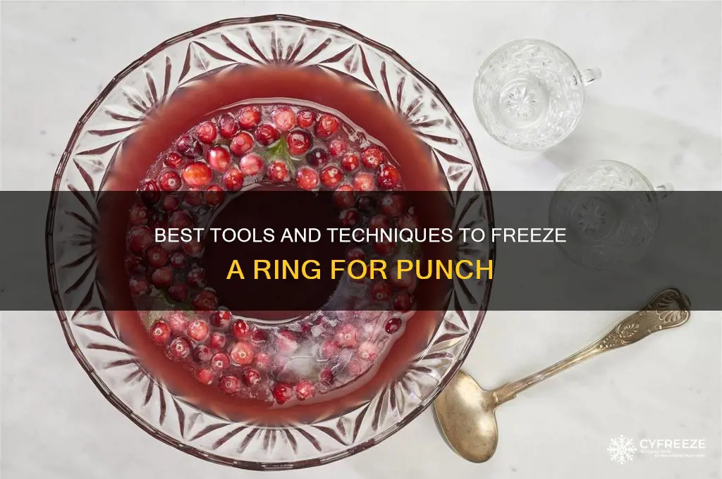 what to use to freeze a ring for punch