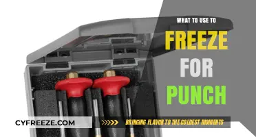 Perfect Punch Freezing: Best Tools and Tips for Preserving Flavor