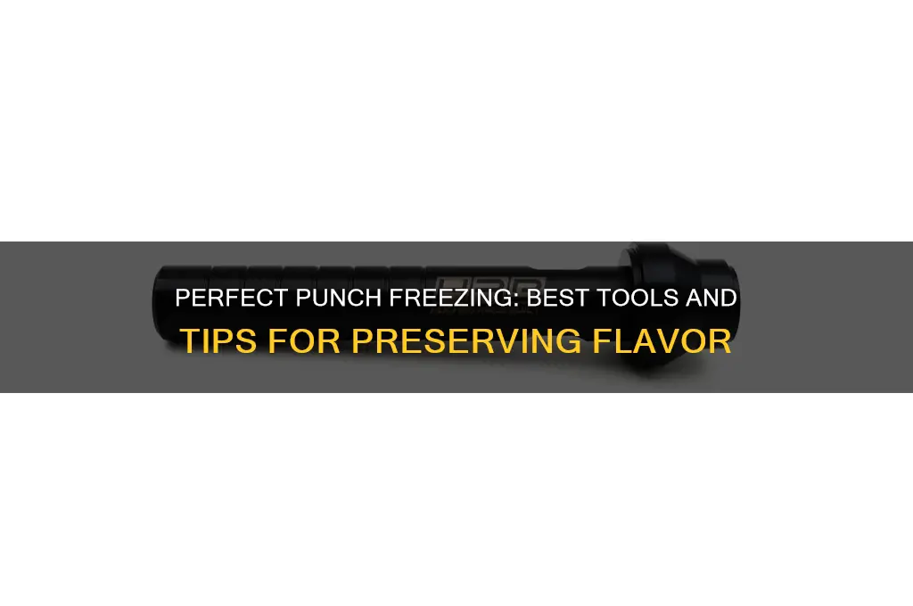 what to use to freeze for punch