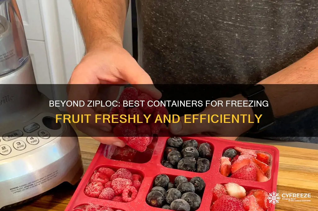 what to use to freeze fruit besides ziploc