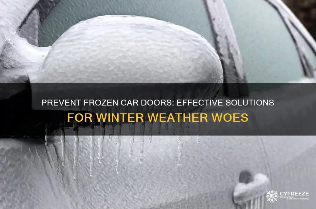 what to use to prevent car doors from freezing shut