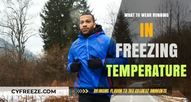 Stay Warm, Run Strong: Essential Winter Running Gear for Freezing Temps