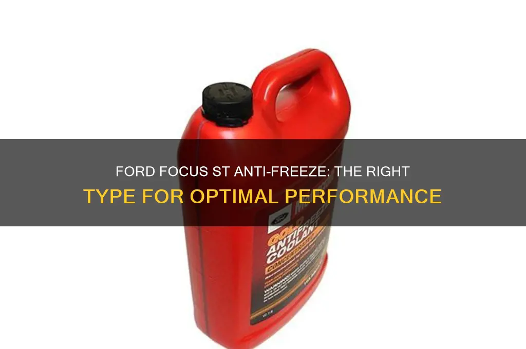 what type of anti freez does ford focus st use