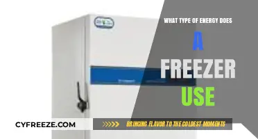 Understanding the Energy Consumption of Your Freezer: Types and Efficiency