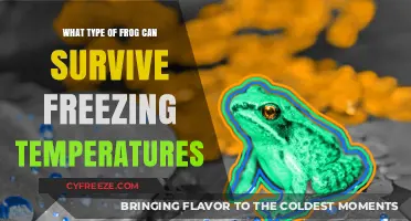 How Arctic Wood Frogs Survive Freezing Temperatures in Winter