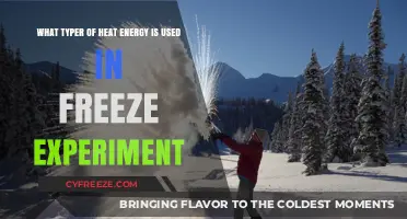 Exploring Heat Energy Types in Freeze Experiments: A Comprehensive Guide