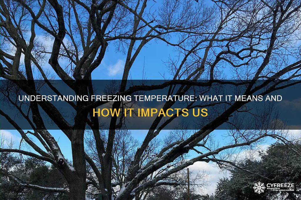what us freezing temperature