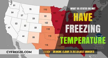Warm All Year: US States Without Freezing Temperatures Revealed