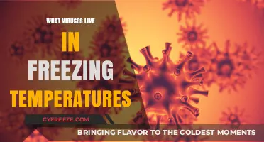 Surviving the Cold: Viruses Thriving in Freezing Temperatures Explained