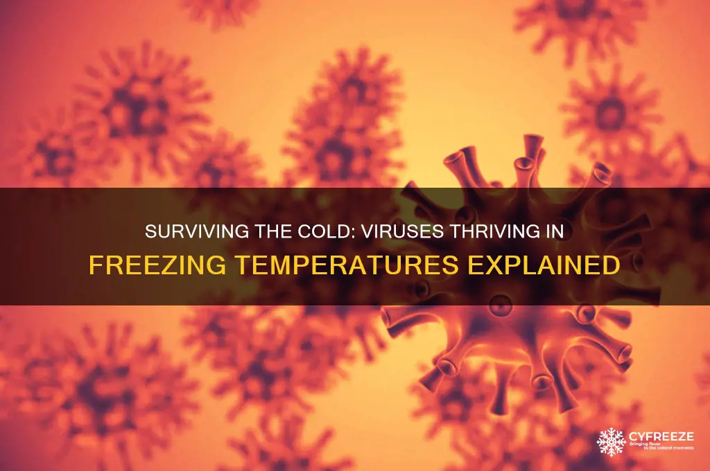 what viruses live in freezing temperatures