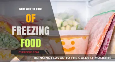 Why Freeze Food? Preserving Freshness, Flavor, and Convenience Explained