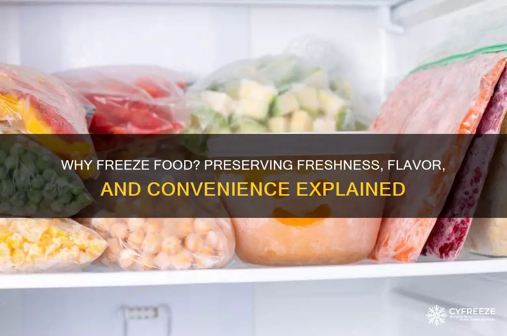 what was the point of freezing food